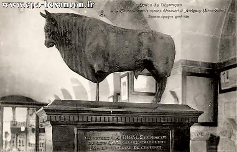 Musée de Besançon - 10 - Taureau à trois cornes découvert à Avrigney (Haute-Saône) - Bronze époque gauloise